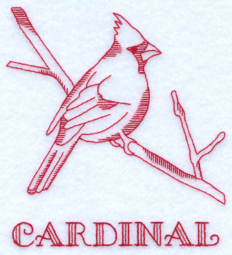 Cardinal Outline