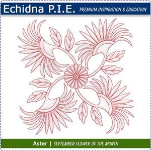 Echidna P.I.E. September Birth Month Flower