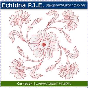 Echidna P.I.E. January Birth Month Flower