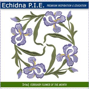 Echidna P.I.E. February Birth Month Flower