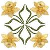 Daffodil Filled, Fullsize