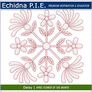 Echidna P.I.E. April Birth Month Flower