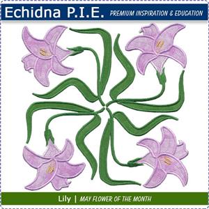 Echidna P.I.E. May Birth Month Flower