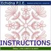 Echidna P.I.E. April Instructions