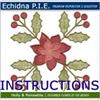 Echidna P.I.E. December Instructions