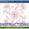 Echidna P.I.E. January Instructions