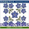 Echidna P.I.E. July Instructions