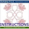 Echidna P.I.E. November Instructions