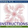 Echidna P.I.E. September Instructions