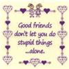 Good Friends Don't Do Stupid Things