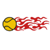Tennis Ball #22 w/Flames