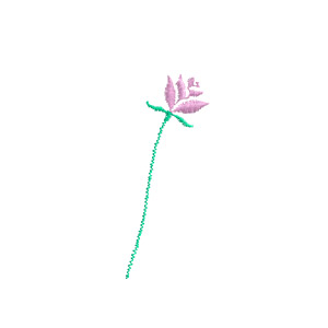 Mountain Flower #2