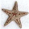 Starfish (Med)
