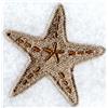 Starfish (Small)