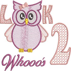 Owl Birthday Milestone 2, Girl Design (Larger)