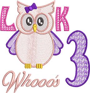 Owl Birthday Milestone 3, Girl Design (Larger)