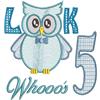 Owl Birthday Milestone 5, Boy Design (Larger)