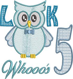 Owl Birthday Milestone 5, Boy Design (Larger)