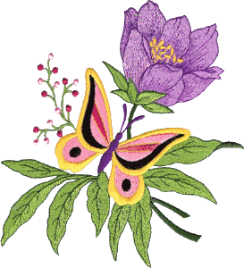 Butterfly & Flower