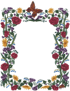 Butterfly Floral Border
