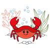 Adorable Crab