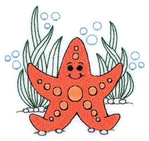 Adorable Starfish