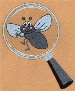 Cute Fly Magnified
