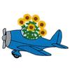 Blooming Airplane
