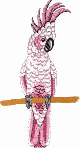 Cockatoo (large)