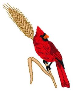 Cardinal with Fall Wheat Stalk