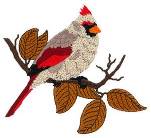 Cardinal with Fall Branch