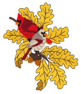 Cardinals on Fall Oak Branch