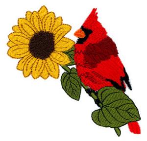 Cardinal with Fall Sunflower