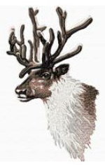 Reindeer (5x7 Hoop)