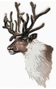 Reindeer (6x10 Hoop)