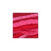 DMC 107: Variegated Carnation (6-strand cotton floss) - Maydel