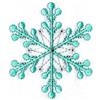Snowflake A10