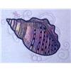 Shell Applique 5 Large