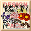 Large Antique Botanicals 1
