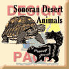 Sonoran Desert Animals