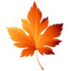 Autumn, Halloween, & Thanksgiving Gallery category icon