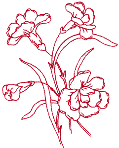 Carnation, large