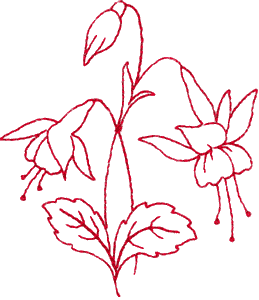 Fuchsia, large