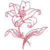 Japanese Lily, large
