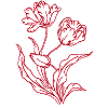 Tulip, large