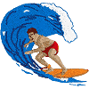 Machine Embroidery Designs Surfing category icon