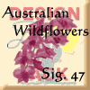 Sig. 47 Elizabeth Mayfield, Australian Wildflowers