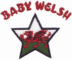 Baby Welsh