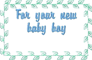 Quilt Label - For New Baby Boy