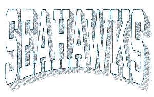 Seahawks Shadow Lettering